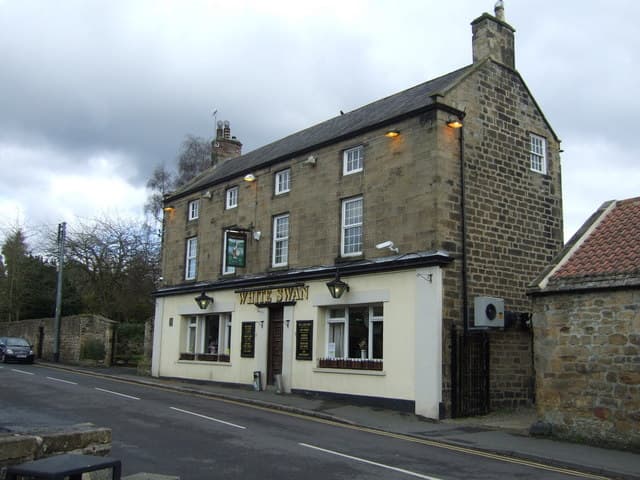 The White Swan