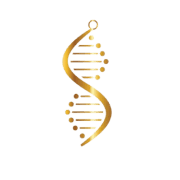 Dimesso Designs logo