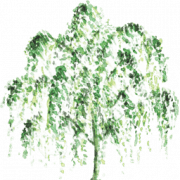 The Willows at the Woodmans logo