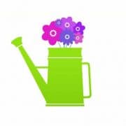 Bride and Bloom Flowers logo