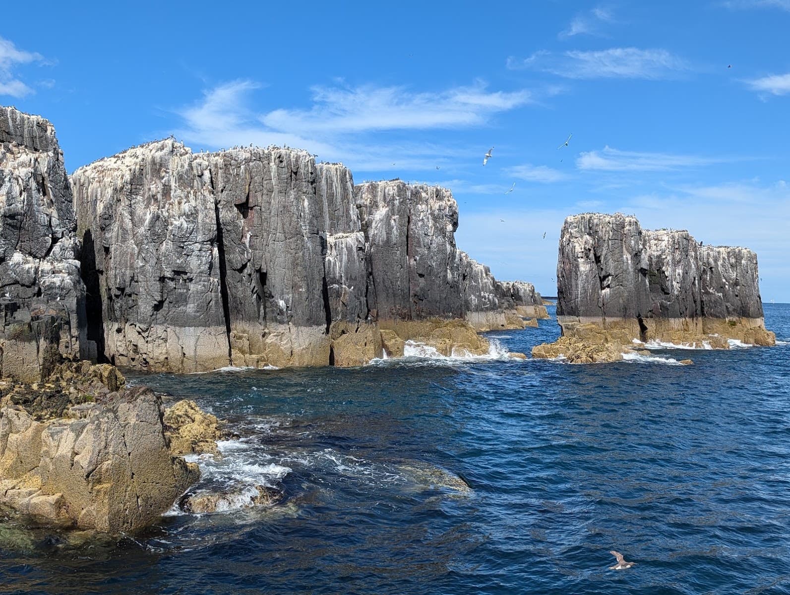 Farne Islands