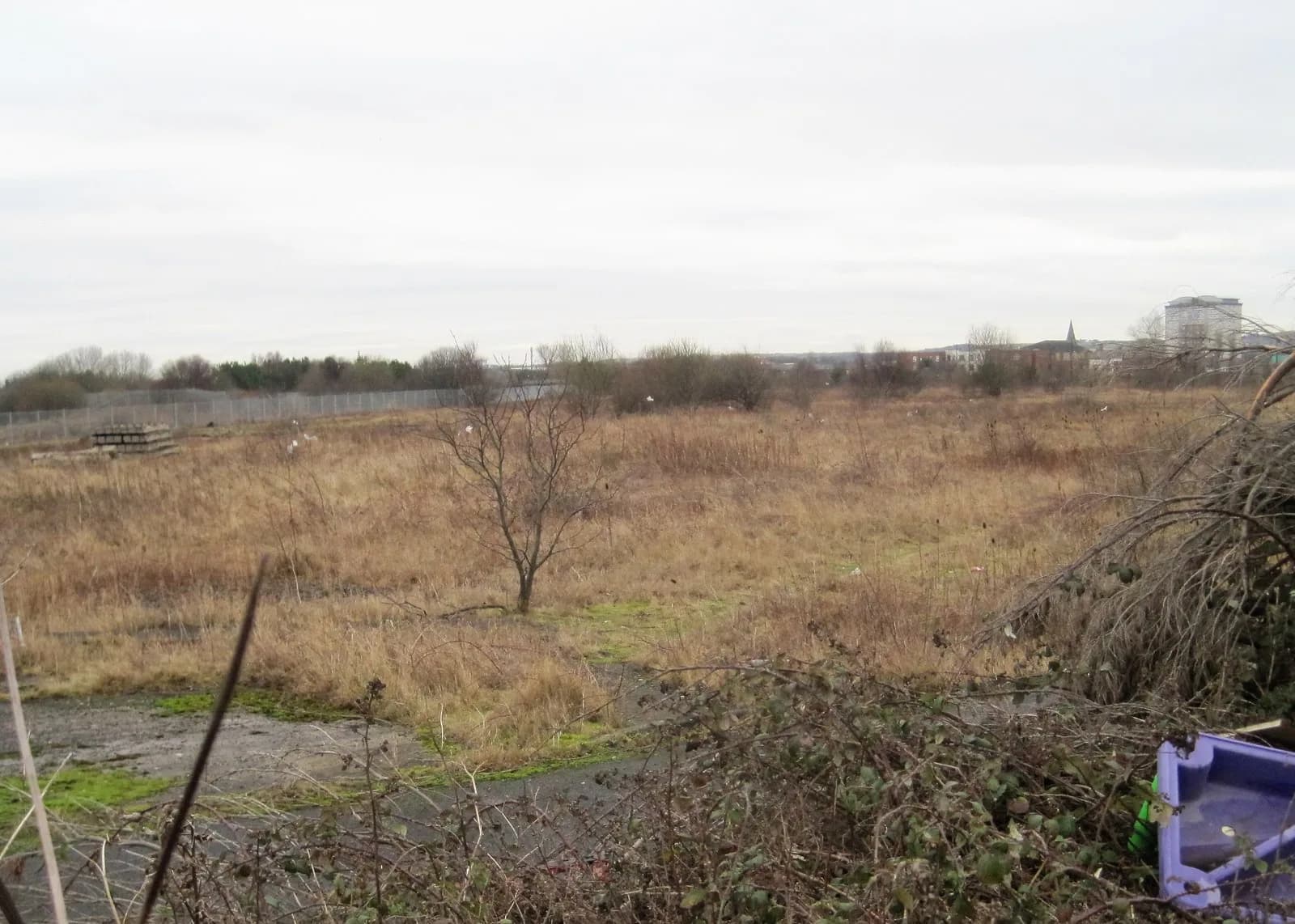 Town Moor