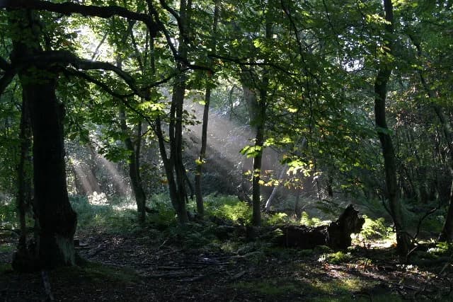 Gosforth Park Nature Reserve